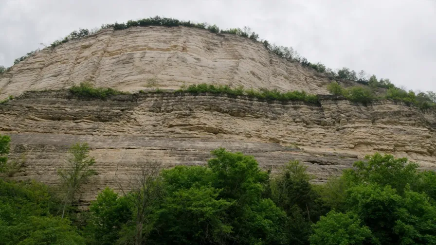 Stratified limestone bluff above summer hardwood forest in Missouri
